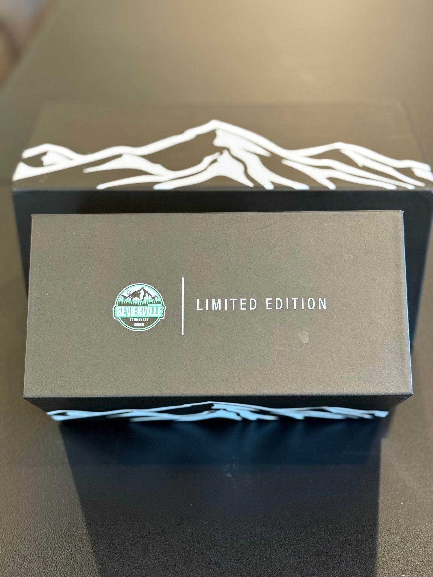 1:24 Audi wagon Slammedenuff Gatlinburg model car collab