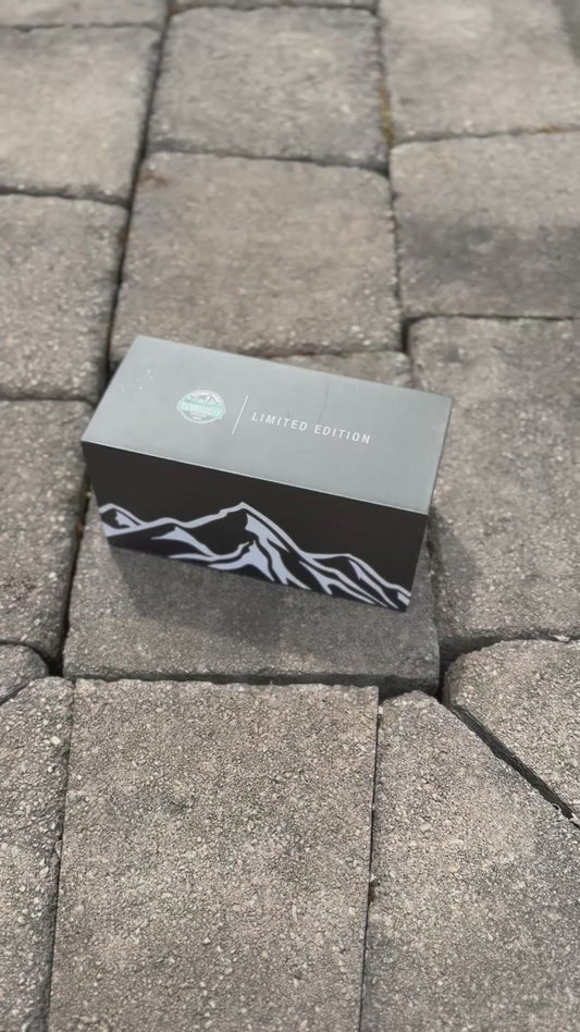 1:24 Audi wagon                Slammedenuff Gatlinburg model car collab